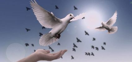 "I am not what happened to me. I am what I choose to become."